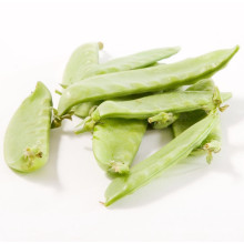 2021 New Season Fresh Good Quality And Low Price Green Snow Pea